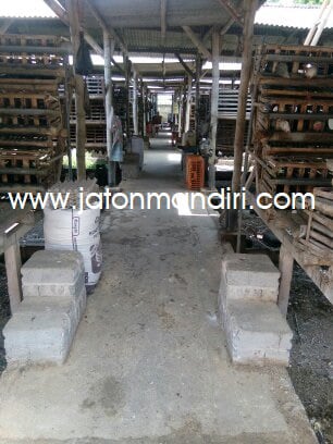 Telur Kampung Omega3, Telur Jaton