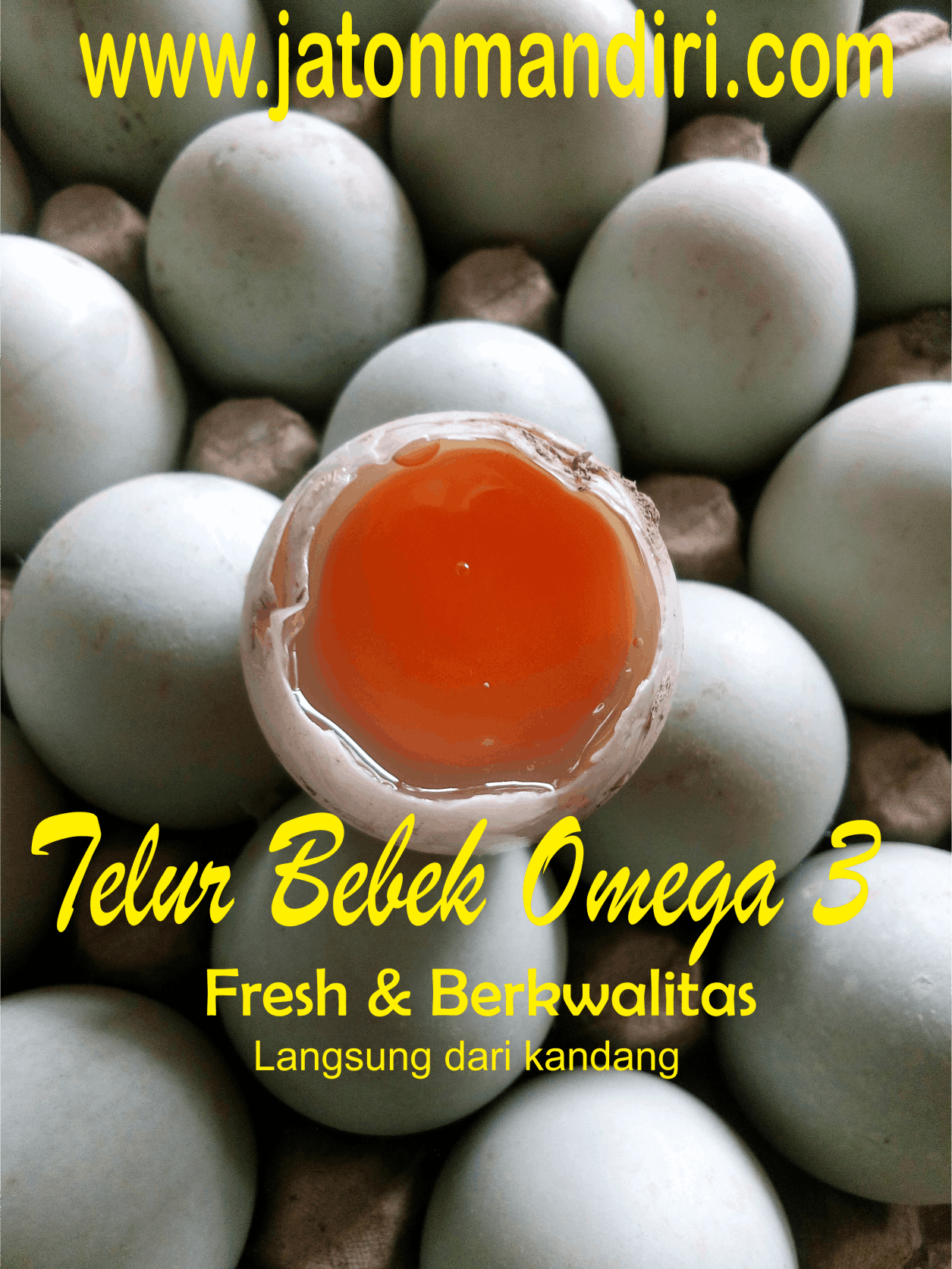Telur Blitar, Telur Asin, Telur Bebek, Telur Jaton, Jaton Mandiri www.jatonmandiri.com
