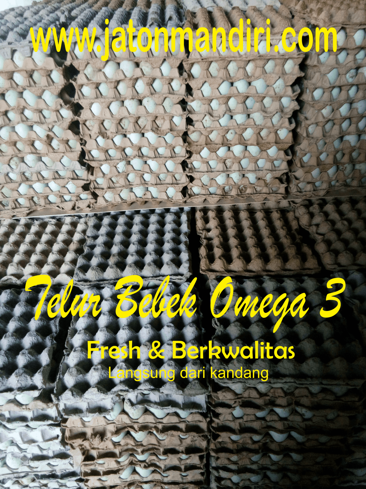 Telur Blitar, Telur Asin, Telur Bebek, Telur Jaton, Jaton Mandiri www.jatonmandiri.com