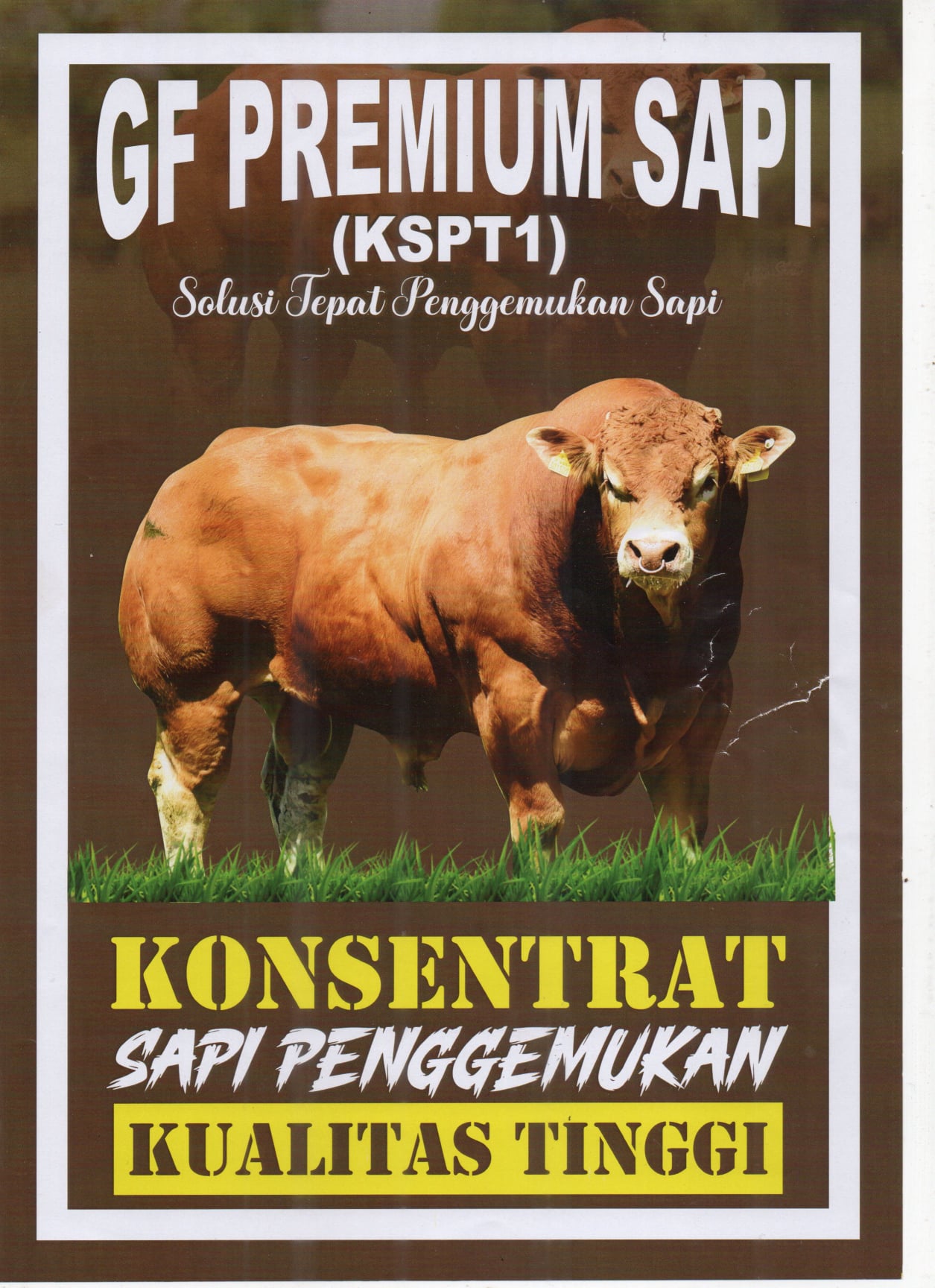 Konsentrat domba, konsentrat sapi