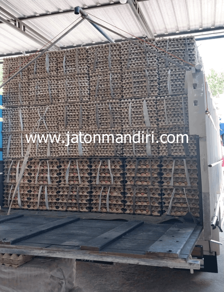 Telur Ayam Ras, Telur Kampung Omega3, Telur Puyuh, Telur Asin, Telur Bebek