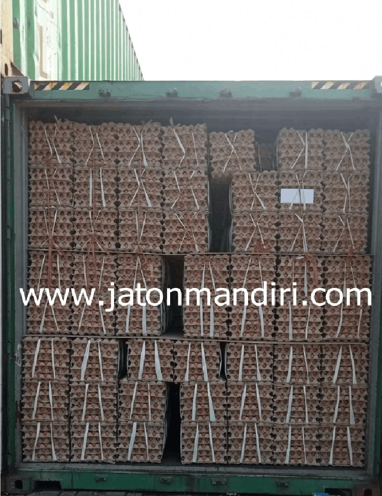 Telur Ayam Ras, Telur Kampung Omega3, Telur Puyuh, Telur Asin, Telur Bebek