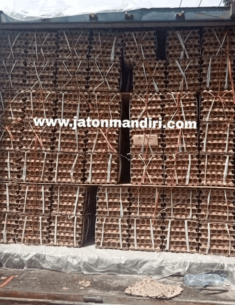 Telur Ayam Ras, Telur Kampung Omega3, Telur Puyuh, Telur Asin, Telur Bebek