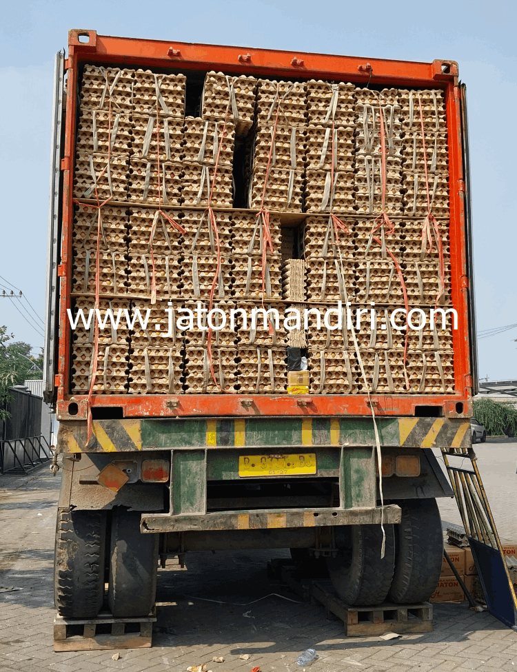 Telur Ayam Ras, Telur Kampung Omega3, Telur Puyuh, Telur Asin, Telur Bebek