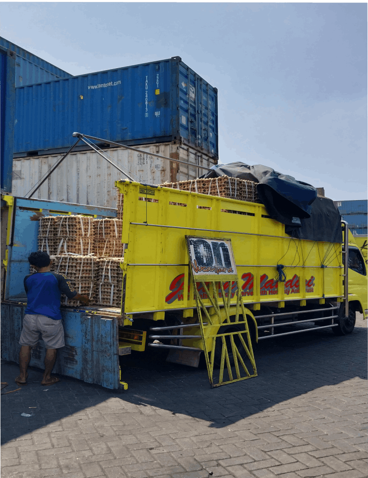 Telur Ayam Ras, Telur Kampung Omega3, Telur Puyuh, Telur Asin, Telur Bebek