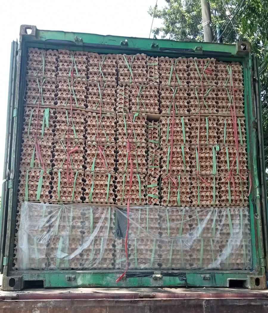 Telur yang luar biasa, diantar ke tempat Anda.